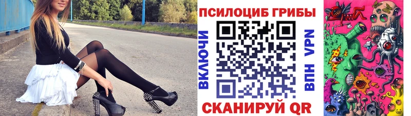 мега   наркотики  Краснотурьинск  Псилоцибиновые грибы Psilocybe 